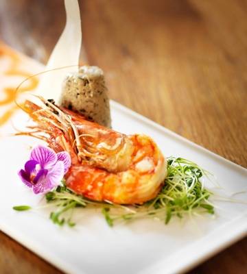 Riesencrevette auf Panna Cotta von Oliven und Caotina Blanc